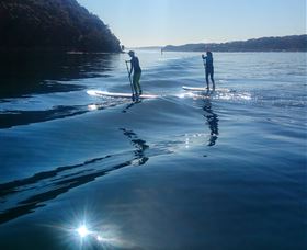 Avalon Stand Up Paddle - Accommodation in Brisbane 2