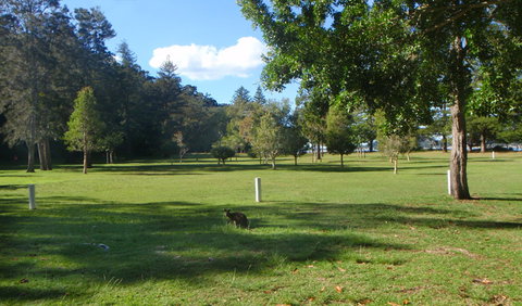 The Basin Picnic Area - Accommodation in Brisbane 1