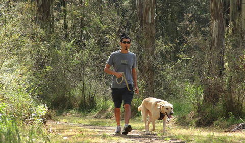 Second Ponds Creek Walk - Accommodation in Brisbane 3