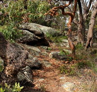 Box Head track - Accommodation in Brisbane