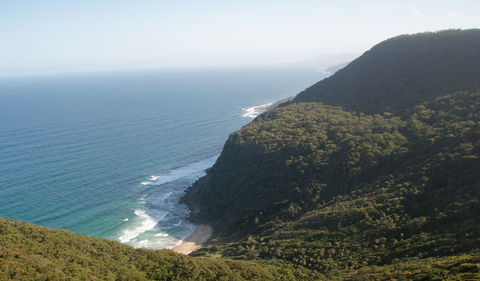 Palm Jungle Loop Track - Accommodation in Brisbane 1