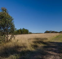 Scheyville horse riding trails - Accommodation in Brisbane