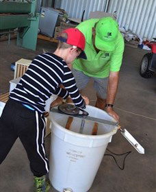 Canoelands Orchard - Accommodation in Brisbane 2