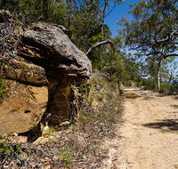 Canoelands Ridge walking track - Accommodation in Brisbane