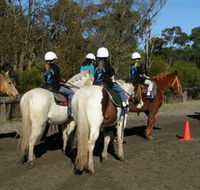 Darkes Forest Riding Ranch - Accommodation in Brisbane