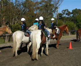Darkes Forest Riding Ranch - Accommodation in Brisbane 0