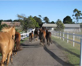 Darkes Forest Riding Ranch - Accommodation in Brisbane 1