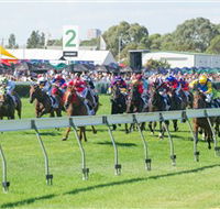 Morphettville Racecourse - Accommodation in Brisbane