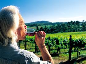 Ashton Hills Vineyard - Accommodation in Brisbane 0