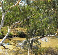 Quilberry Creek Fishing - Accommodation in Brisbane