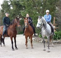 Academy of Dressage - Accommodation in Brisbane