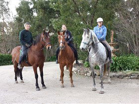 Academy Of Dressage - Accommodation in Brisbane 0