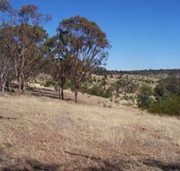 Onkaparinga River National Park - Accommodation in Brisbane