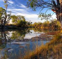 Murray River National Park - Accommodation in Brisbane