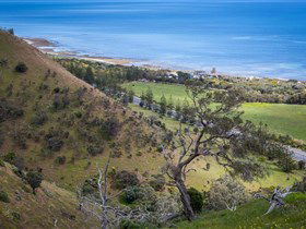 Lady Bay Beach - Accommodation in Brisbane 1