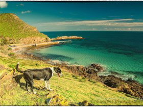 Second Valley Beach - Accommodation in Brisbane 1