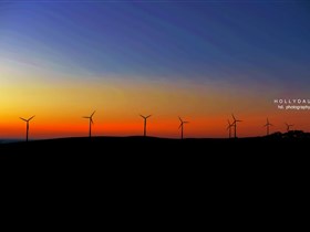 Cape Jervis SA Accommodation in Brisbane