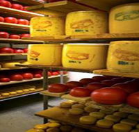 Alexandrina Cheese Company - Accommodation in Brisbane