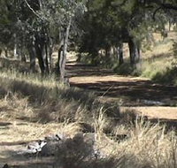 Chudleigh Park Gem Fields - Accommodation in Brisbane