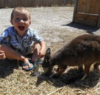 Animal Farm Goolwa - Accommodation in Brisbane