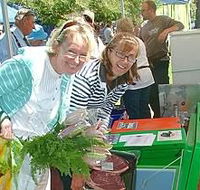 Victor Harbor Farmers Market - Accommodation in Brisbane