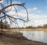 Toorale National Park - Accommodation in Brisbane