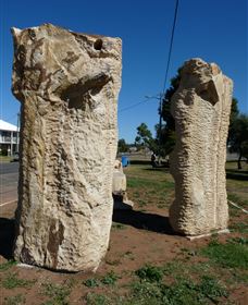 Fossilised Forrest Sculptures - Accommodation in Brisbane 0