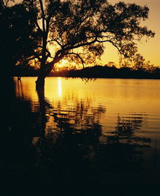 Hattah ACT Accommodation in Brisbane