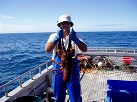 Lacepede Seafood - Accommodation in Brisbane 2