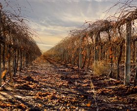 Andrew Peace Wines - Accommodation in Brisbane 2