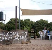 Crazy Acres - Accommodation in Brisbane