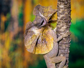 Territory Wildlife Park - Accommodation in Brisbane 1