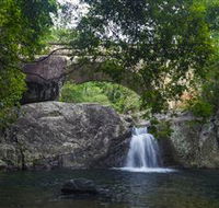 Paluma and Crystal Creek Rainforest - Accommodation in Brisbane