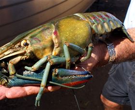 Fairbairn Dam, Lake Maraboon - Accommodation in Brisbane 3