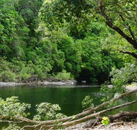 Broadwater Abergowrie State Forest - Accommodation in Brisbane