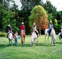 Limestone Coast Horseriding - Accommodation in Brisbane