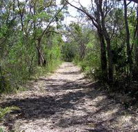 Lanky's Walk - Accommodation in Brisbane