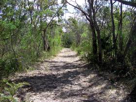 Lanky's Walk - Accommodation in Brisbane 0