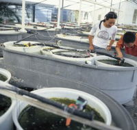 James Cook University of North Queensland - Accommodation in Brisbane