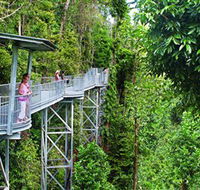 Mamu Tropical Skywalk - Accommodation in Brisbane