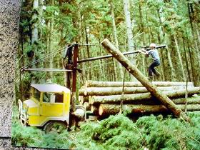 Nangwarry Forestry And Logging Museum - Accommodation in Brisbane 3