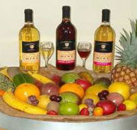 de Brueys Boutique Wines and Functions Venue - Accommodation in Brisbane