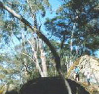 Dergholm State Park - Accommodation in Brisbane