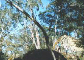Dergholm State Park - Accommodation in Brisbane 0