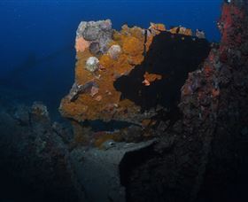 Lady Bowen Dive Site - Accommodation in Brisbane 0