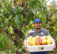 Sweet Farm Tours - Accommodation in Brisbane