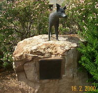 Dingo Statue - Accommodation in Brisbane