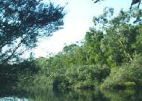Breakaway Creek ACT Accommodation in Brisbane