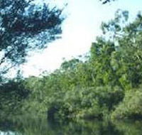 Crawford River Regional Park - Accommodation in Brisbane