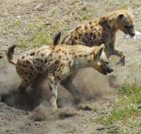Altina Wildlife Park - Accommodation in Brisbane